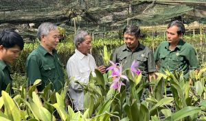 Đẩy mạnh thi đua cựu chiến binh gương mẫu