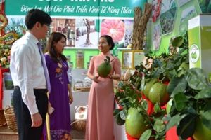 Sở Khoa học – Công nghệ tuyển chọn tổ chức, cá nhân thực hiện nhiệm vụ khoa học và công nghệ cấp tỉnh