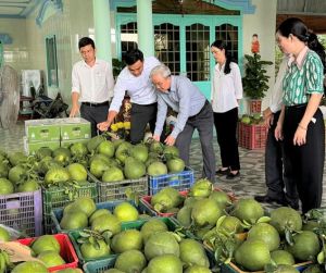 Chú trọng kết nối đầu ra cho sản phẩm OCOP