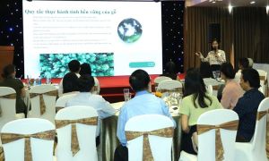 Doanh nghiệp gỗ xây dựng Bộ quy tắc ứng xử về tính hợp pháp và bền vững