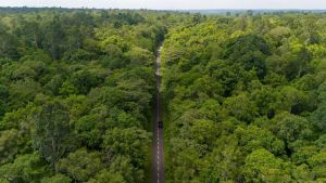 Hành trình bảo vệ và phát triển “lá phổi xanh” của Đồng Nai