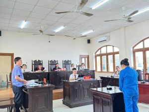 Lãnh 13 năm tù vì dùng 'sổ đỏ' lừa đảo chiếm đoạt tài sản