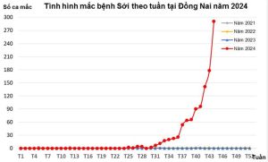 Toàn tỉnh đã ghi nhận hơn 1 ngàn ca mắc bệnh sởi