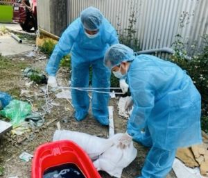 Phòng ngừa bệnh dại bằng cách tiêm vaccine
