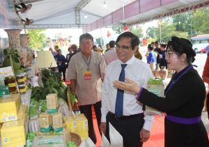 250 đại biểu tham dự Đại hội đại biểu các dân tộc thiểu số tỉnh lần thứ IV-2024
