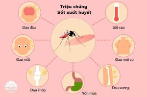 Một bệnh nhân người lớn bị sốc sốt xuất huyết được điều trị kịp thời