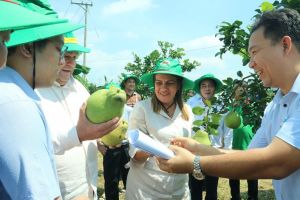 Huyện Vĩnh Cửu tiên phong làm lúa sạch
