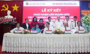 Tổng kết thực hiện thỏa thuận liên ngành về thực hiện chính sách tín dụng phục vụ phát triển nông nghiệp, nông thôn giai đoạn từ 2019-2024