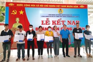 Đồng Nai đứng thứ 2 toàn quốc về số lượng đoàn viên được cập nhật dữ liệu