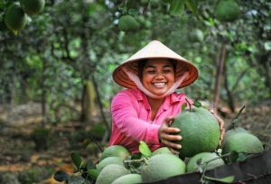 Triển lãm 100 ảnh đẹp văn hóa, danh thắng Đồng Nai tại tỉnh Nghệ An