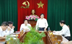 Tham mưu UBND tỉnh cơ sở pháp lý để bảo tồn nhà cổ Võ Hà Thanh