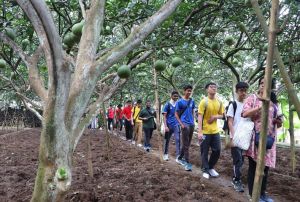 Phát triển du lịch cộng đồng ở làng bưởi Tân Triều