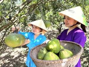 Góp phần quảng bá đặc sản địa phương