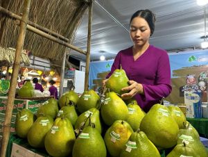 Tuần lễ Văn hóa, du lịch ẩm thực Đồng Nai 2024 diễn ra từ ngày 28-11 đến 1-12-2024