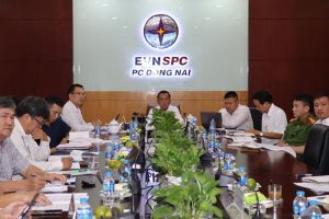 Triển khai nghị định mới về điện mặt trời mái nhà tự sản xuất, tự tiêu thụ