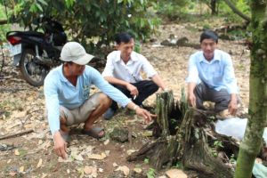 UBND tỉnh ban hành nhiều chính sách về đất đai