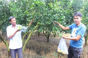 Tháo gỡ cấp “sổ đỏ” cho đất có nguồn gốc từ nông, lâm trường