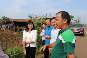 Chú trọng hỗ trợ tư vấn đào tạo cho hợp tác xã