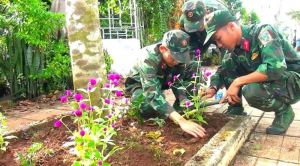 Quân dân phối hợp xây dựng tuyến đường kiểu mẫu sáng, xanh, sạch, đẹp