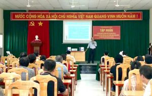 Tập huấn công tác chuyển đổi số