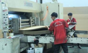 Developing Supporting Industries for the Wood Sector
