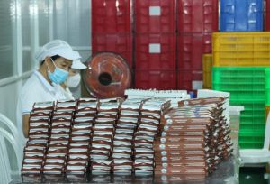 The Halal Market: A "Gold Mine" for Enterprises