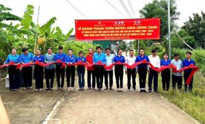 Huyện Đoàn Định Quán xây dựng, thực hiện nhiều công trình thanh niên thiết thực, hiệu quả