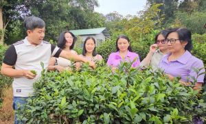 Huyện Nhơn Trạch tổ chức Chương trình FamTrip Tọa đàm liên kết phát triển du lịch