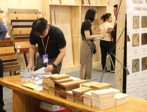 Chuẩn bị để thích ứng với Luật Chống phá rừng của EU