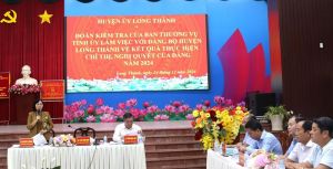 Kiểm tra thực hiện nghị quyết năm 2024 tại Đảng bộ huyện Long Thành
