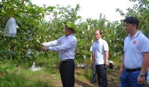 Đồng lòng quyết tâm thực hiện các mục tiêu phát triển mạnh mẽ của tỉnh