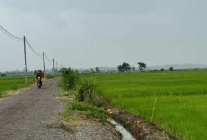 Nông dân gieo trồng vụ đông xuân 2024-2025