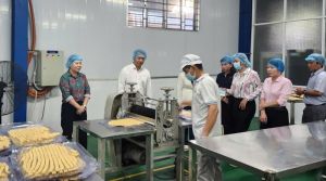 Đoàn công tác của Ban Chỉ đạo 264 tỉnh khảo sát thực hiện chương trình OCOP tại huyện Long Thành