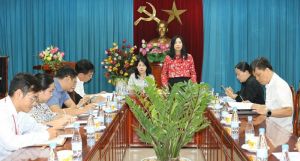 Phó Chủ tịch HĐND tỉnh Hoàng Thị Bích Hằng dự họp thẩm tra dự thảo nghị quyết trình HĐND tỉnh