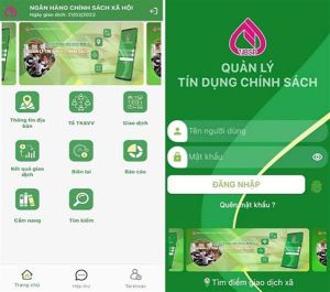 100% Tổ trưởng tổ tiết kiệm và vay vốn thực hiện giao dịch qua ứng dụng Quản lý tín dụng chính sách