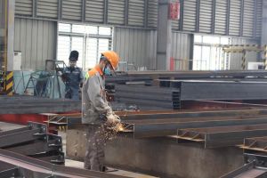 Chủ động phòng, chống vi phạm trong lĩnh vực thuế