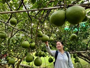 Ngành Nông nghiệp đạt nhiều thành quả trong năm 2024