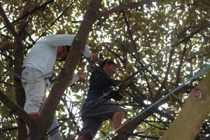 Quyền lợi khi tham gia bảo hiểm tai nạn lao động tự nguyện