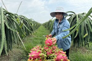 Lan tỏa mô hình khu dân cư kiểu mẫu