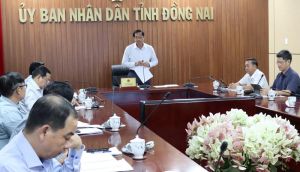 Complete a Project to Release Transmission Capacity for Nhon Trach 3 and 4 Power Plants