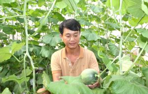 Đồng Nai phát triển nông nghiệp đô thị