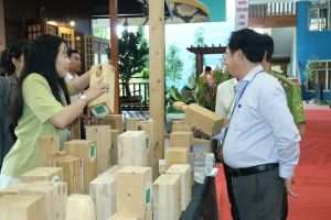 Ngành gỗ hướng tới xây dựng quy tắc chuẩn hóa sản xuất bền vững