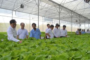 Hội Nông dân tỉnh thực hiện tốt công tác an sinh xã hội