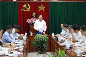 Hoàn thành kế hoạch đấu giá đất trong tháng 1-2025