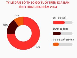 Cần có thêm nhiều giải pháp để ứng phó với già hóa dân số