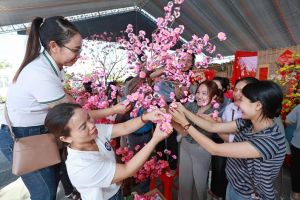 Nhộn nhịp hội thi trang trí cây mai, đào dịp Tết Nguyên đán 2025