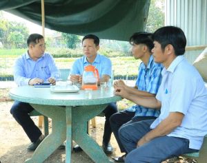 Tư vấn và hỗ trợ có vai trò quan trọng để phát triển kinh tế tập thể