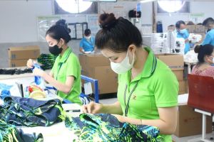 ドンナイ省の2000以上の企業が旧正月の給与とボーナスを報告