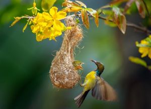 Văn nghệ sĩ Đồng Nai và nỗ lực làm mới tác phẩm