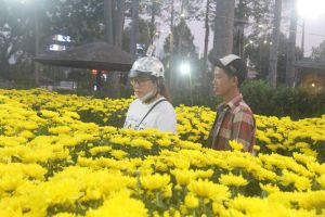 Hơn 200 gian hàng tại Hội chợ hoa Xuân năm 2025